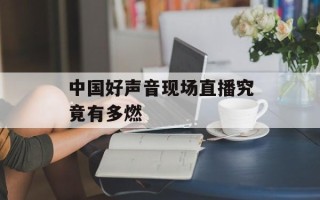 中国好声音现场直播究竟有多燃