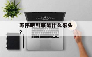 苏伟吧到底是什么来头？