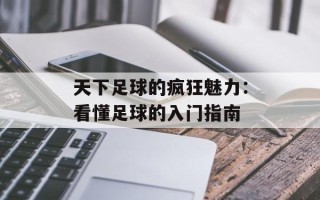 天下足球的疯狂魅力：看懂足球的入门指南