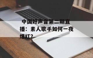  中国好声音第二期直播：素人歌手如何一夜爆红？