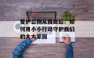 爱护公物从我做起：如何用小小行动守护我们的大大家园