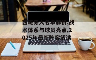 西班牙大名单解析,战术体系与球员亮点,2025年最新阵容解读
