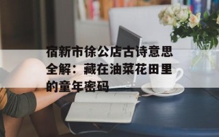 宿新市徐公店古诗意思全解：藏在油菜花田里的童年密码