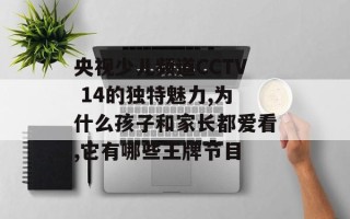 央视少儿频道CCTV 14的独特魅力,为什么孩子和家长都爱看,它有哪些王牌节目