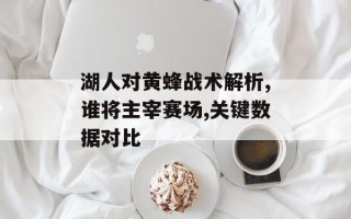 湖人对黄蜂战术解析,谁将主宰赛场,关键数据对比