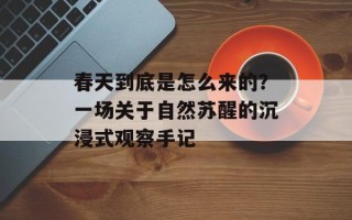 春天到底是怎么来的？一场关于自然苏醒的沉浸式观察手记