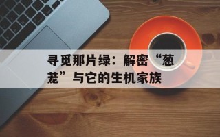 寻觅那片绿：解密“葱茏”与它的生机家族