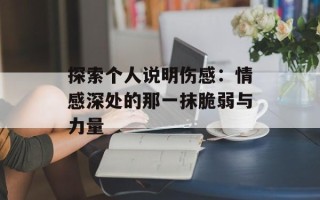 探索个人说明伤感：情感深处的那一抹脆弱与力量