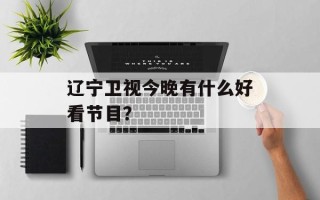 辽宁卫视今晚有什么好看节目？