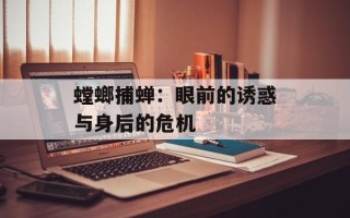 螳螂捕蝉：眼前的诱惑与身后的危机