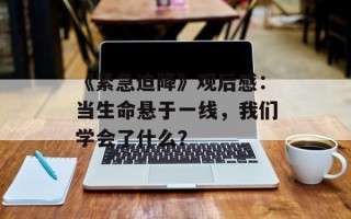 《紧急迫降》观后感：当生命悬于一线，我们学会了什么？