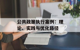 公共政策执行案例：理论、实践与优化路径