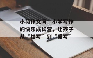 小荷作文网：小学写作的快乐成长营，让孩子从“怕写”到“爱写”