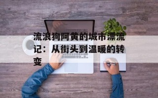 流浪狗阿黄的城市漂流记：从街头到温暖的转变
