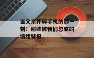 当父亲摔碎手机的那一刻：那些被我们忽略的情绪警报