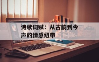 诗歌词赋：从古韵到今声的情感纽带