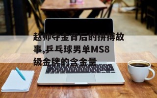 赵帅夺金背后的拼搏故事,乒乓球男单MS8级金牌的含金量