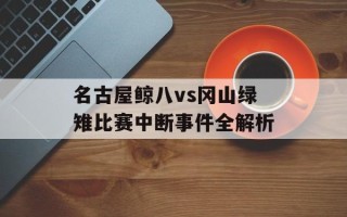 名古屋鲸八vs冈山绿雉比赛中断事件全解析