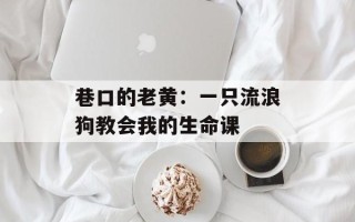 巷口的老黄：一只流浪狗教会我的生命课
