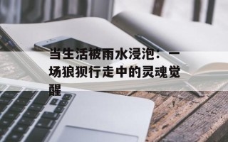 当生活被雨水浸泡：一场狼狈行走中的灵魂觉醒