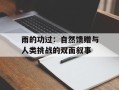 雨的功过：自然馈赠与人类挑战的双面叙事