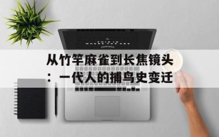 从竹竿麻雀到长焦镜头：一代人的捕鸟史变迁