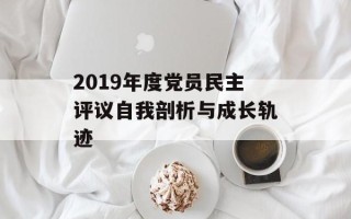 2019年度党员民主评议自我剖析与成长轨迹
