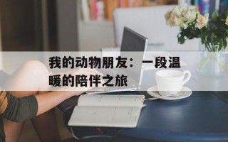 我的动物朋友：一段温暖的陪伴之旅