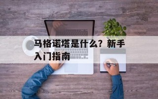 马格诺塔是什么？新手入门指南