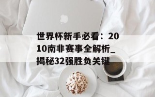 世界杯新手必看：2010南非赛事全解析_揭秘32强胜负关键