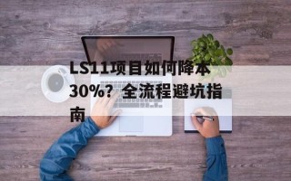 LS11项目如何降本30%？全流程避坑指南