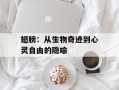 翅膀：从生物奇迹到心灵自由的隐喻