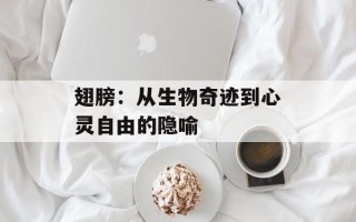 翅膀：从生物奇迹到心灵自由的隐喻