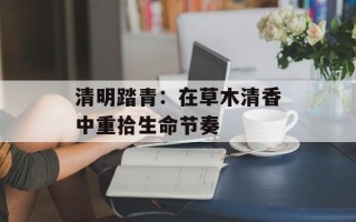 清明踏青：在草木清香中重拾生命节奏