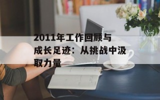 2011年工作回顾与成长足迹：从挑战中汲取力量