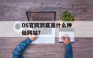 DS官网到底是什么神仙网站？