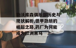 勒沃库森俱乐部历史与现状解析,德甲劲旅的崛起之路,药厂为何能成为欧洲黑马
