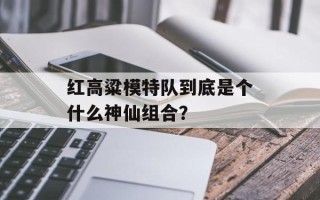 红高粱模特队到底是个什么神仙组合？
