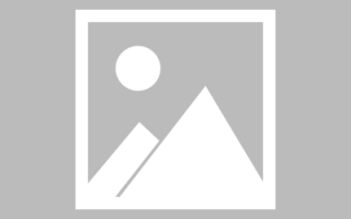 Feedsky到底是个啥？新手必看指南