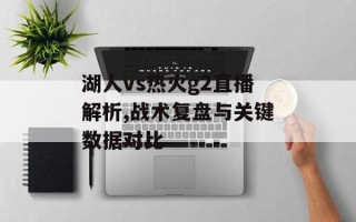 湖人vs热火g2直播解析,战术复盘与关键数据对比