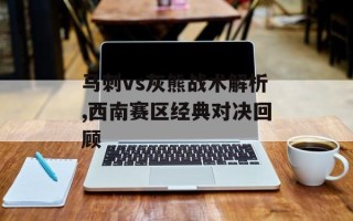 马刺vs灰熊战术解析,西南赛区经典对决回顾