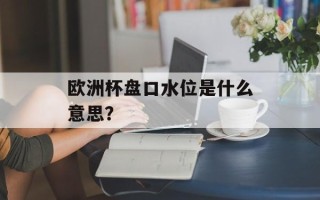 欧洲杯盘口水位是什么意思？