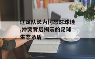 辽足队长为何怒怼球迷,冲突背后揭示的足球生态矛盾