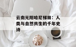 云南元阳哈尼梯田：人类与自然共生的千年史诗