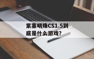 紫塞明珠CS1.5到底是什么游戏？