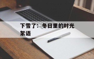 下雪了：冬日里的时光絮语