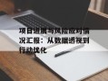 项目进展与风险应对情况汇报：从数据透视到行动优化