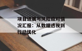 项目进展与风险应对情况汇报：从数据透视到行动优化