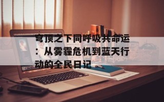 穹顶之下同呼吸共命运：从雾霾危机到蓝天行动的全民日记