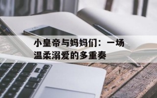 小皇帝与妈妈们：一场温柔溺爱的多重奏